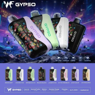 GYPSO 30000 puffs拋棄式電子煙 scaled 1